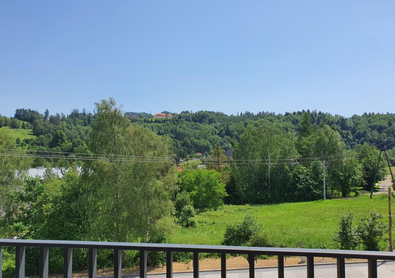 ויסלאו Apartamenty Ski & Fun Spokojna מראה חיצוני תמונה
